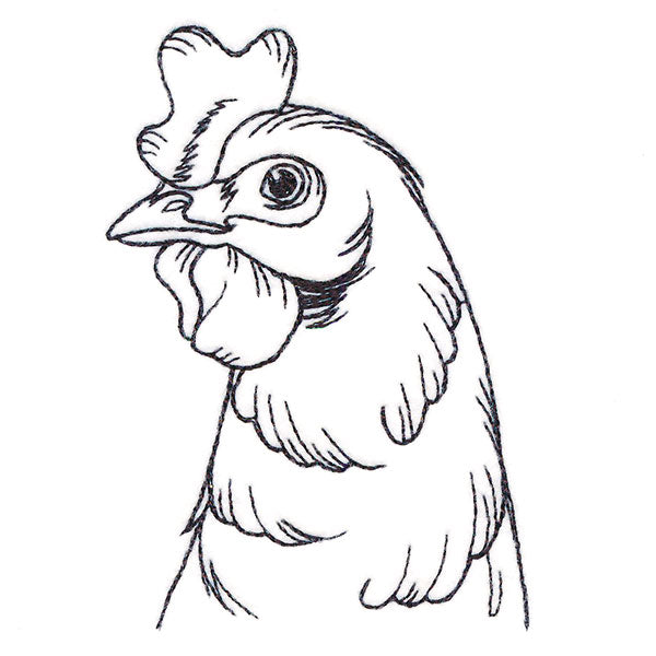 Charming Chicken Pocket Peeker