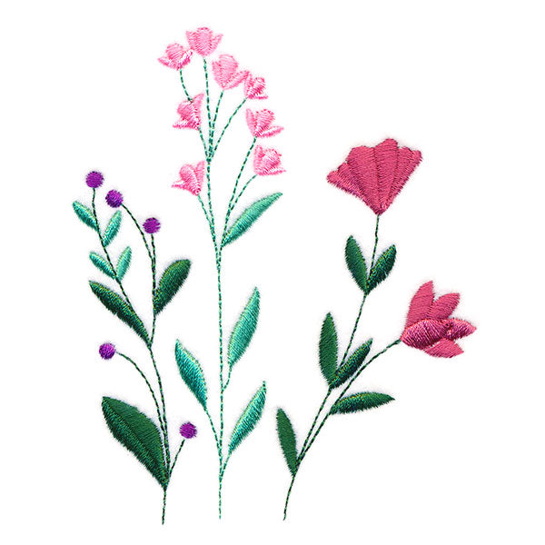 Wonderful Wildflowers Pocket Peeker