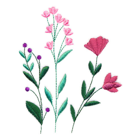 Wonderful Wildflowers Pocket Peeker