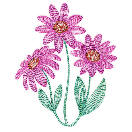 Darling Coneflowers Pocket Peeker