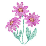 Darling Coneflowers Pocket Peeker