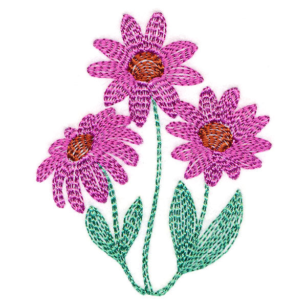 Darling Coneflowers Pocket Peeker