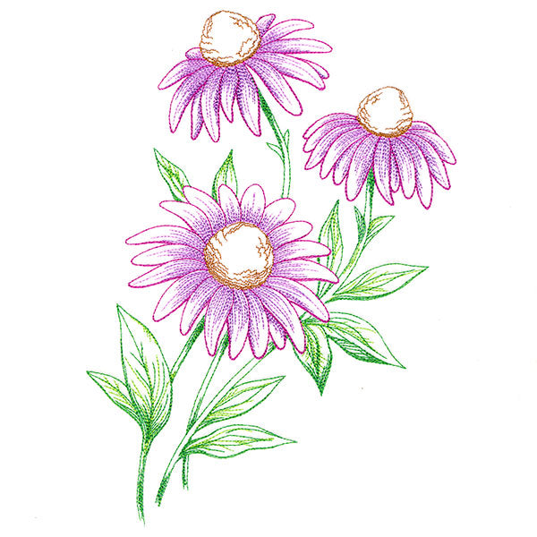 Wild Coneflower Bouquet