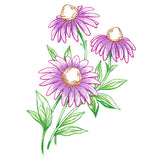 Wild Coneflower Bouquet