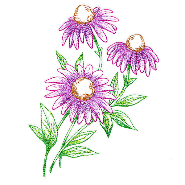 Wild Coneflower Bouquet