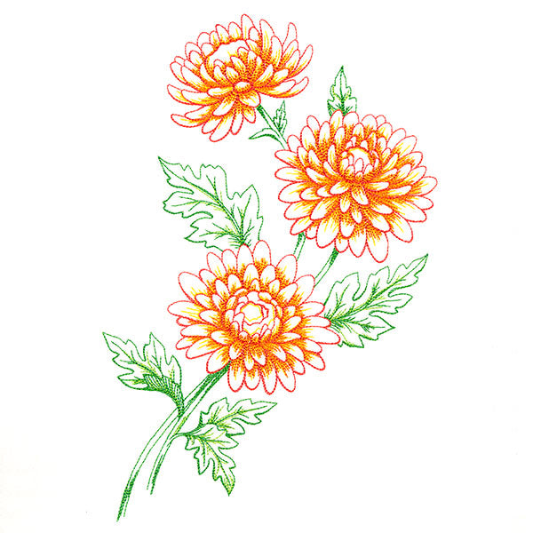 Wild Chrysanthemum Bouquet