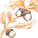 Wild Oak Leaf Bouquet