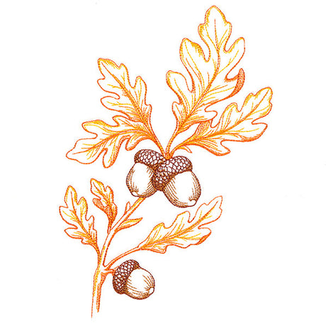 Wild Oak Leaf Bouquet