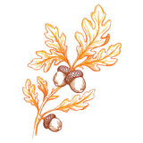 Wild Oak Leaf Bouquet