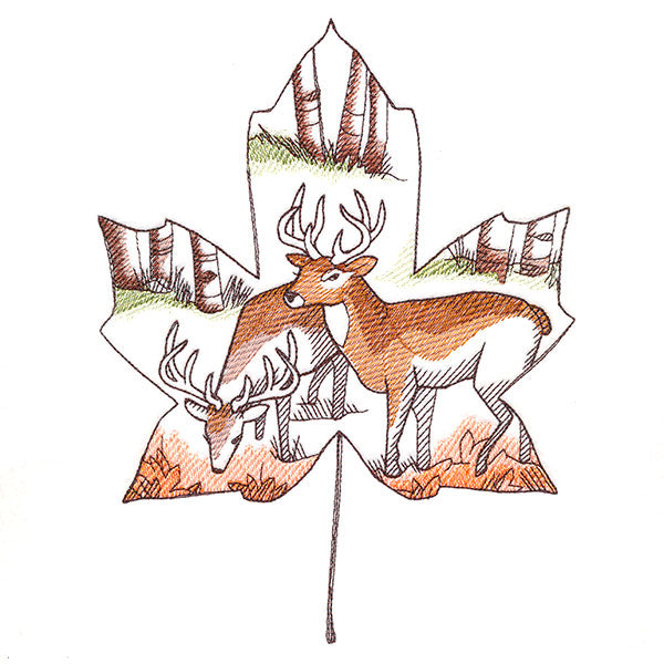 Autumn Woodland Deer Scene