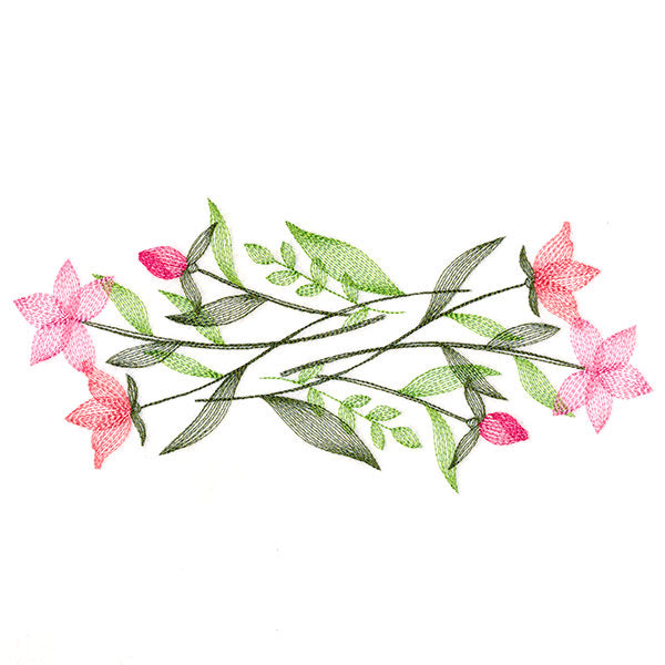 Delicate Wildflower Border