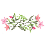 Delicate Wildflower Border