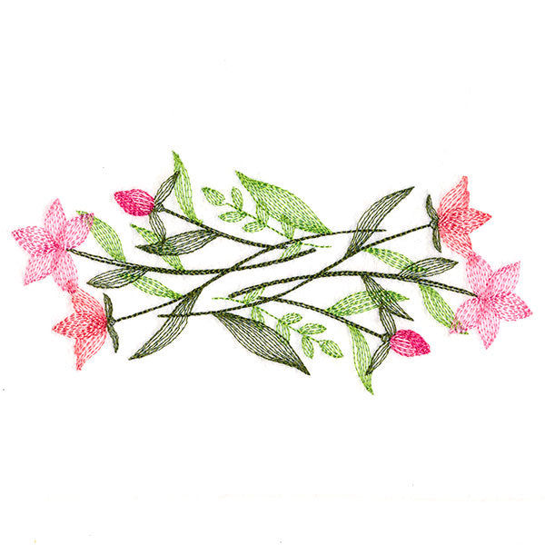 Delicate Wildflower Border