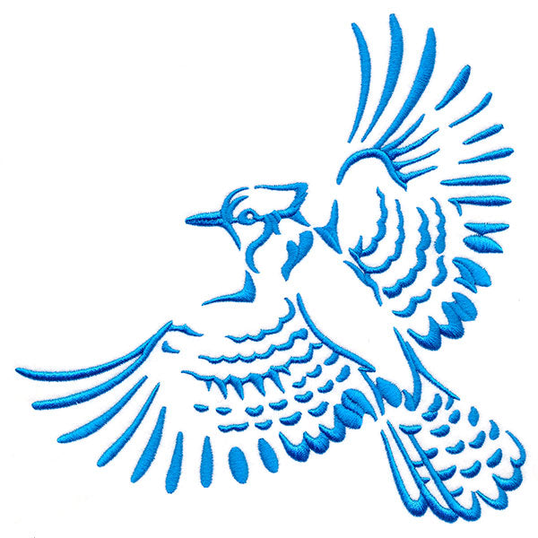 Soaring Blue Jay in Flight