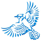 Soaring Blue Jay in Flight