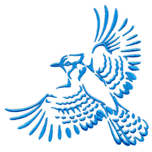 Soaring Blue Jay in Flight