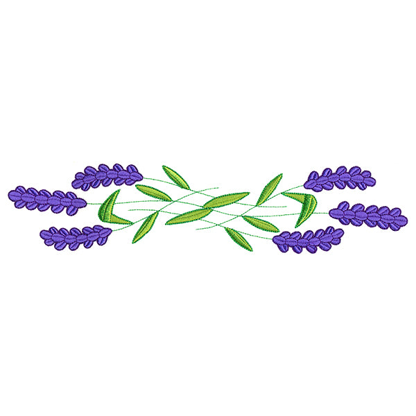 Sweet Lavender Border