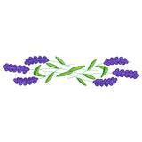 Sweet Lavender Border