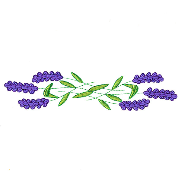 Sweet Lavender Border