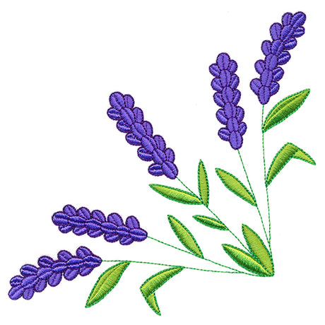 Sweet Lavender Corner