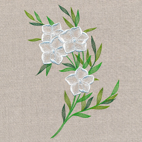 Sheer Dainty Bouquet