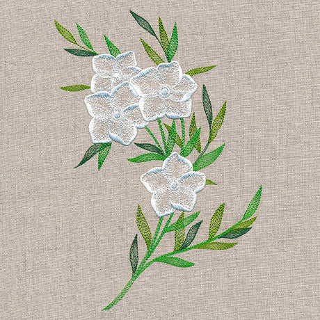 Sheer Dainty Bouquet