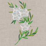 Sheer Dainty Bouquet