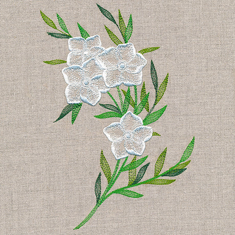 Sheer Dainty Bouquet