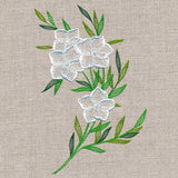 Sheer Dainty Bouquet