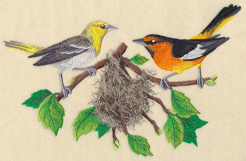 Bullock's Orioles and Nest