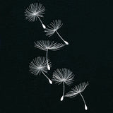 Delicate Wishes Cascade