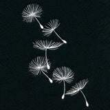 Delicate Wishes Cascade