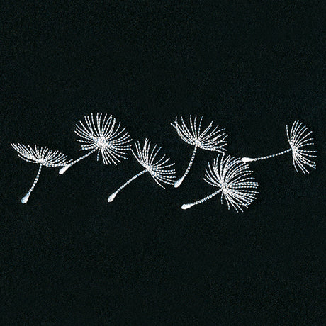 Delicate Wishes Border