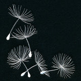 Delicate Wishes Corner