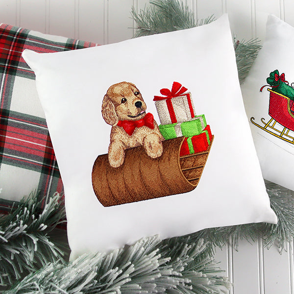 Precious Sledding Puppy