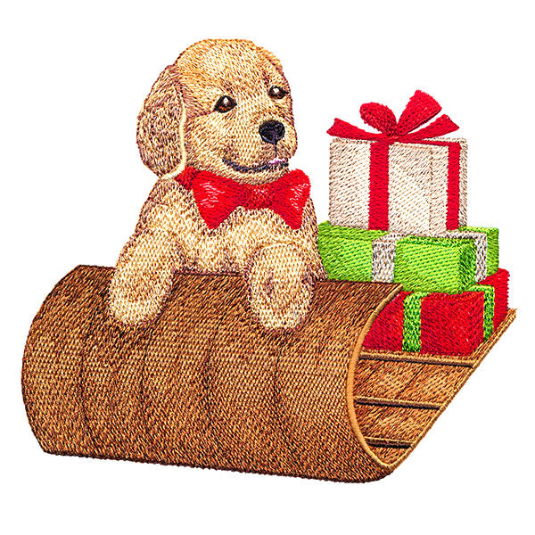 Precious Sledding Puppy