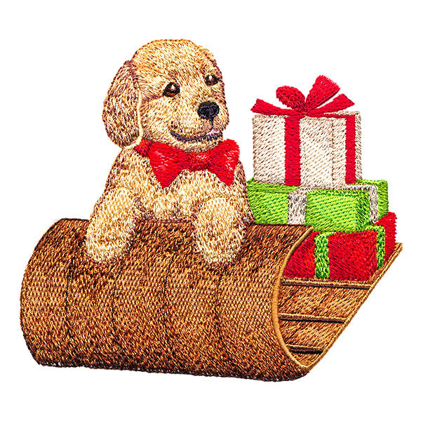 Precious Sledding Puppy