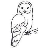 Wise Winter Owl
