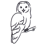 Wise Winter Owl