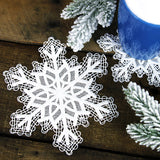 Serene Snowflake Lace Doily (Battenburg Lace)