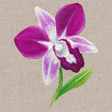 Sweet Purple Orchid