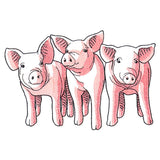 Pig Trio - Front