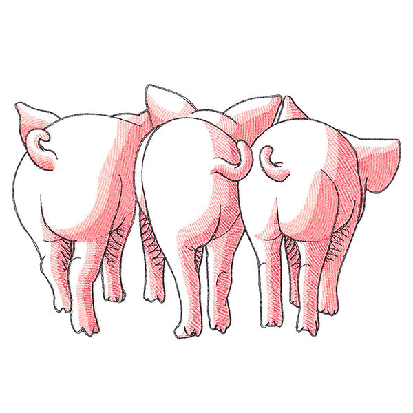 Pig Trio - Back