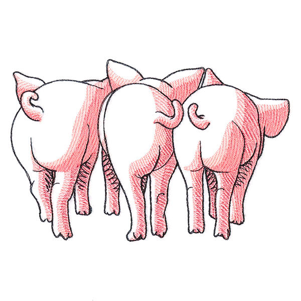 Pig Trio - Back