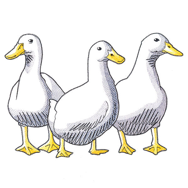 Duck Trio - Front