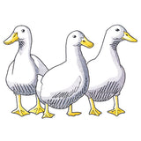 Duck Trio - Front