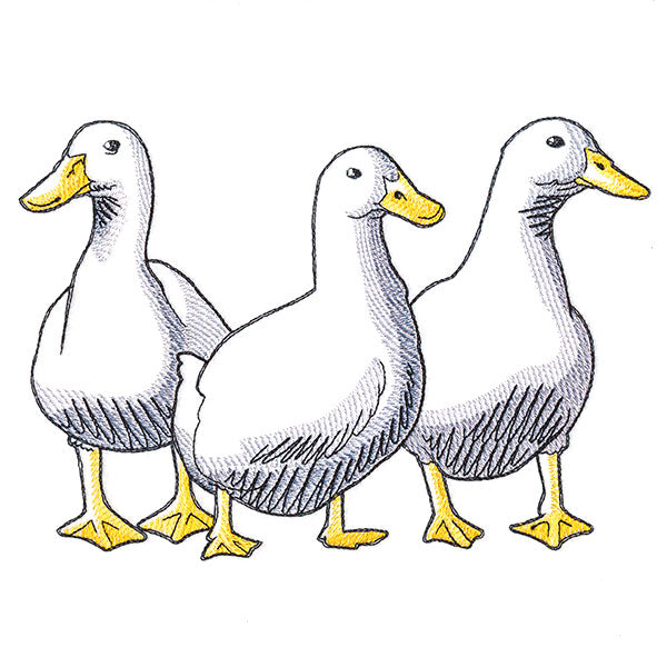 Duck Trio - Front