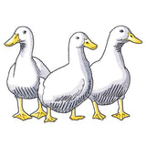 Duck Trio - Front