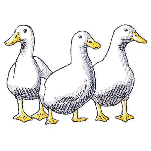 Duck Trio - Front