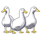 Duck Trio - Front